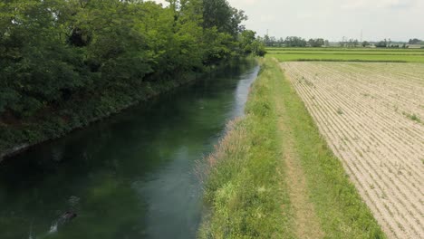 establish shot of narrowed water river used for irrigation in farm land field plantation