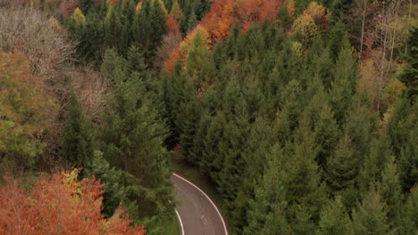 Elevación-Aérea-De-Un-Hermoso-Bosque-En-Otoño-Y-Una-Carretera-Rural-Pavimentada