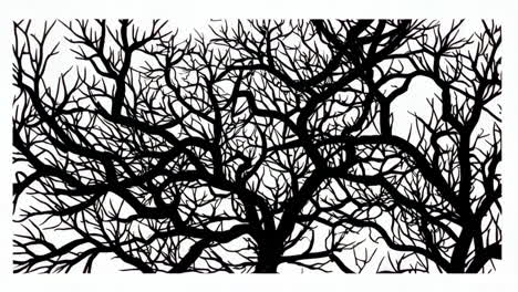 abstract black and white tree branch silhouettes