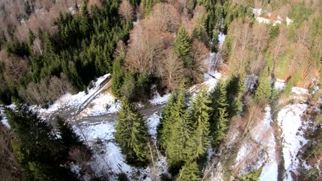 Hermoso-Río-Dentro-Del-Bosque