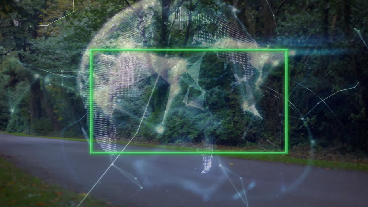 Network animation overlaying digital globe above forest road scene in nature