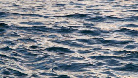 olas de mar en el agua de puesta de sol pastel en cámara lenta