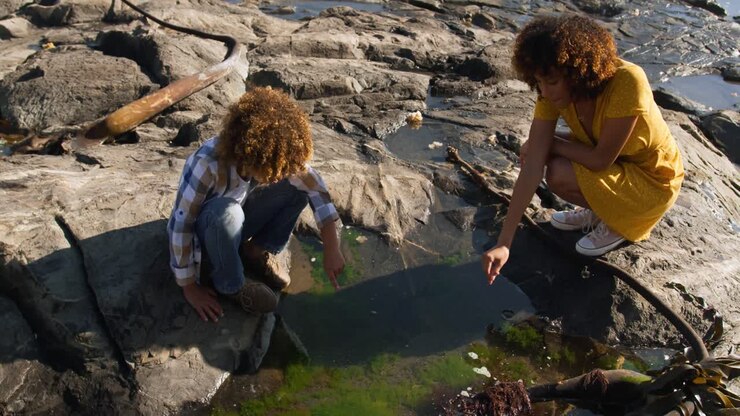 мать и сын веселятся вместе на пляже.