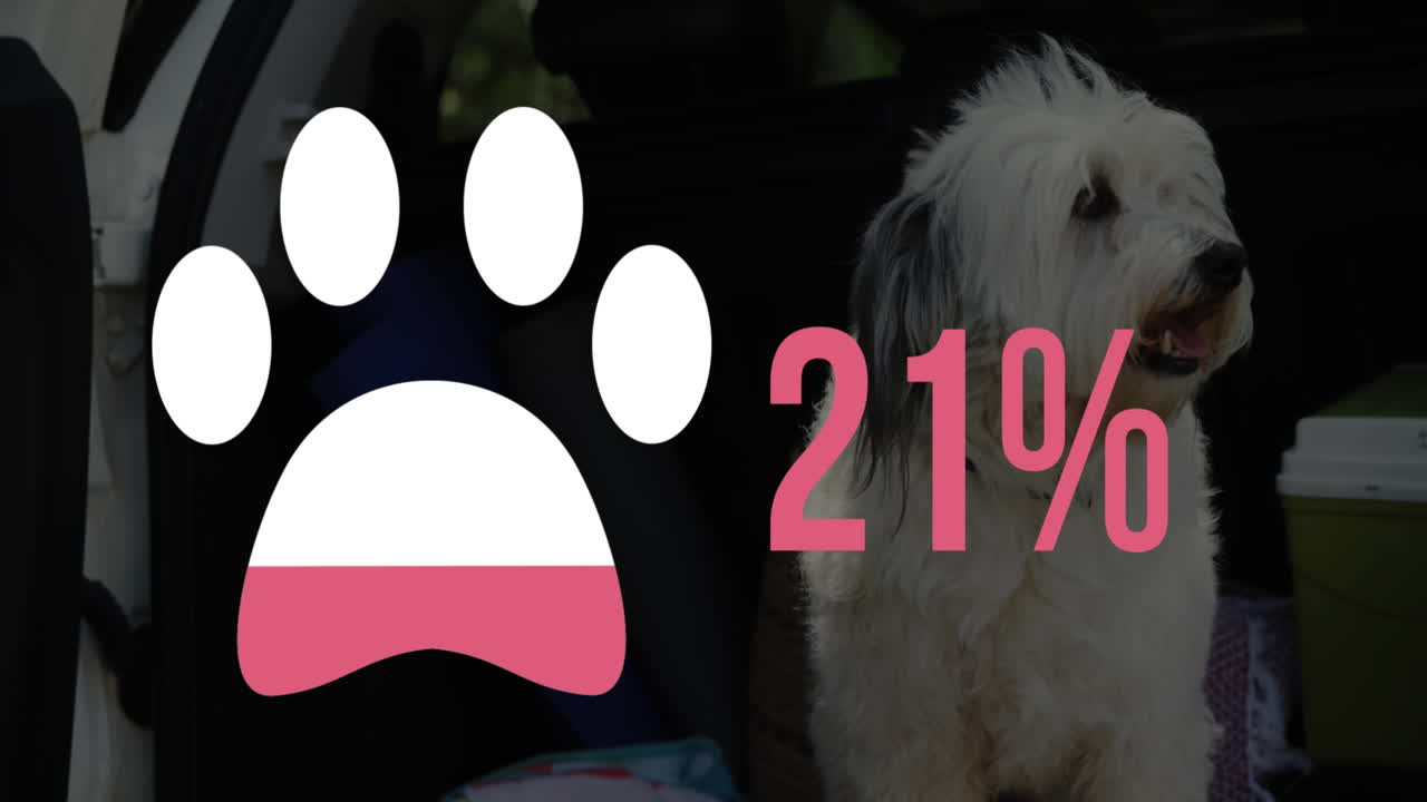 개 발 모양과 색 ⁇ 의 증가하는 비율 4k