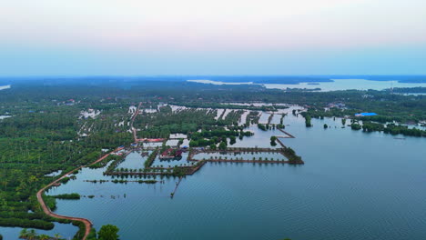 paisaje matutino de las aguas de kumarakom con árbol de coco y reflejo en el agua, kerala