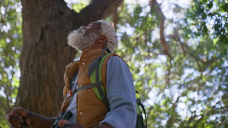 senior man hiking in forest