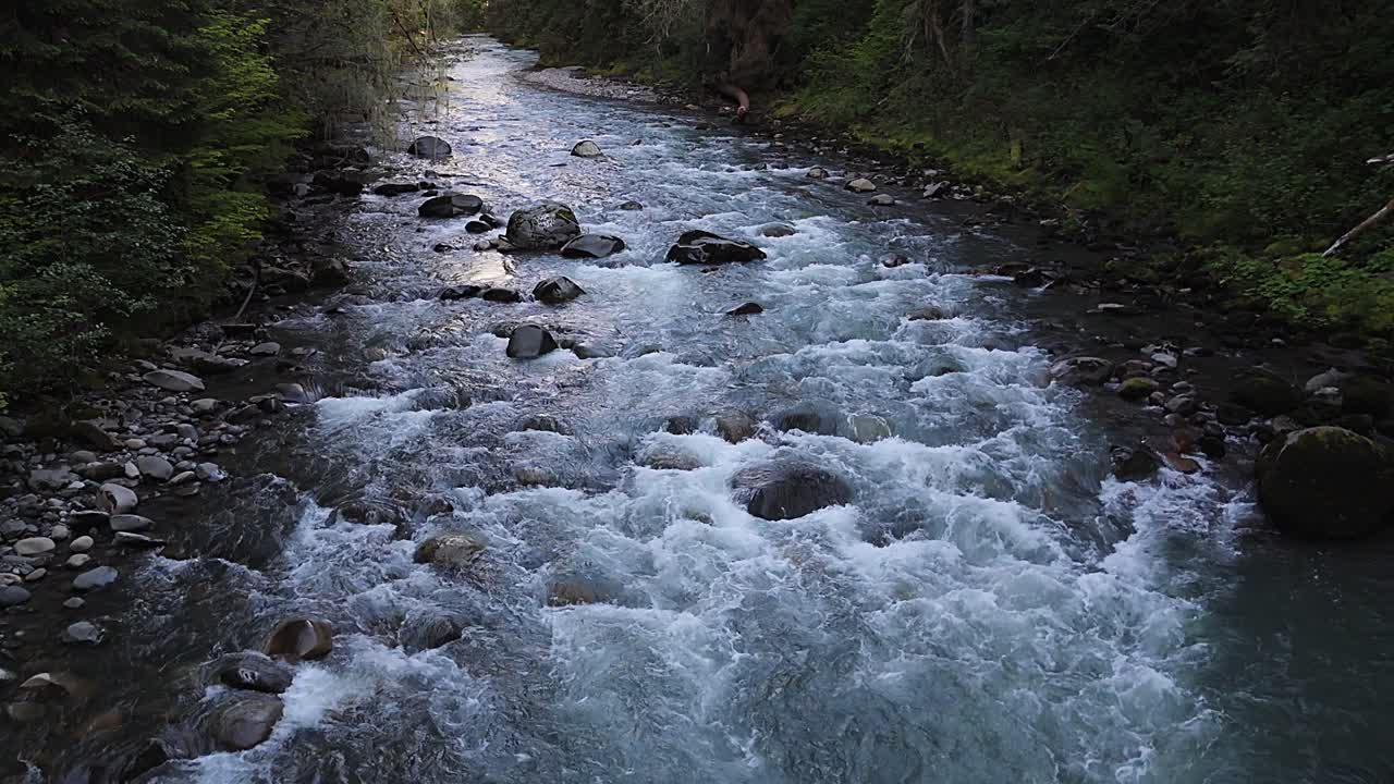 Smooth motion shot over flowing river in dense lush Evergreen forest in Carbonado, Washington State
