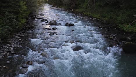movimiento suave disparado sobre el río que fluye en el denso y exuberante bosque perenne en carbonado, estado de washington