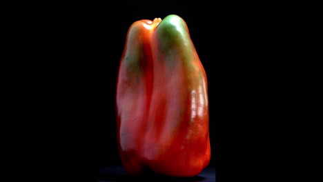 red bell pepper, studio shot