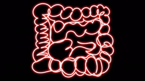 animation of the neon intestine with a red glow.