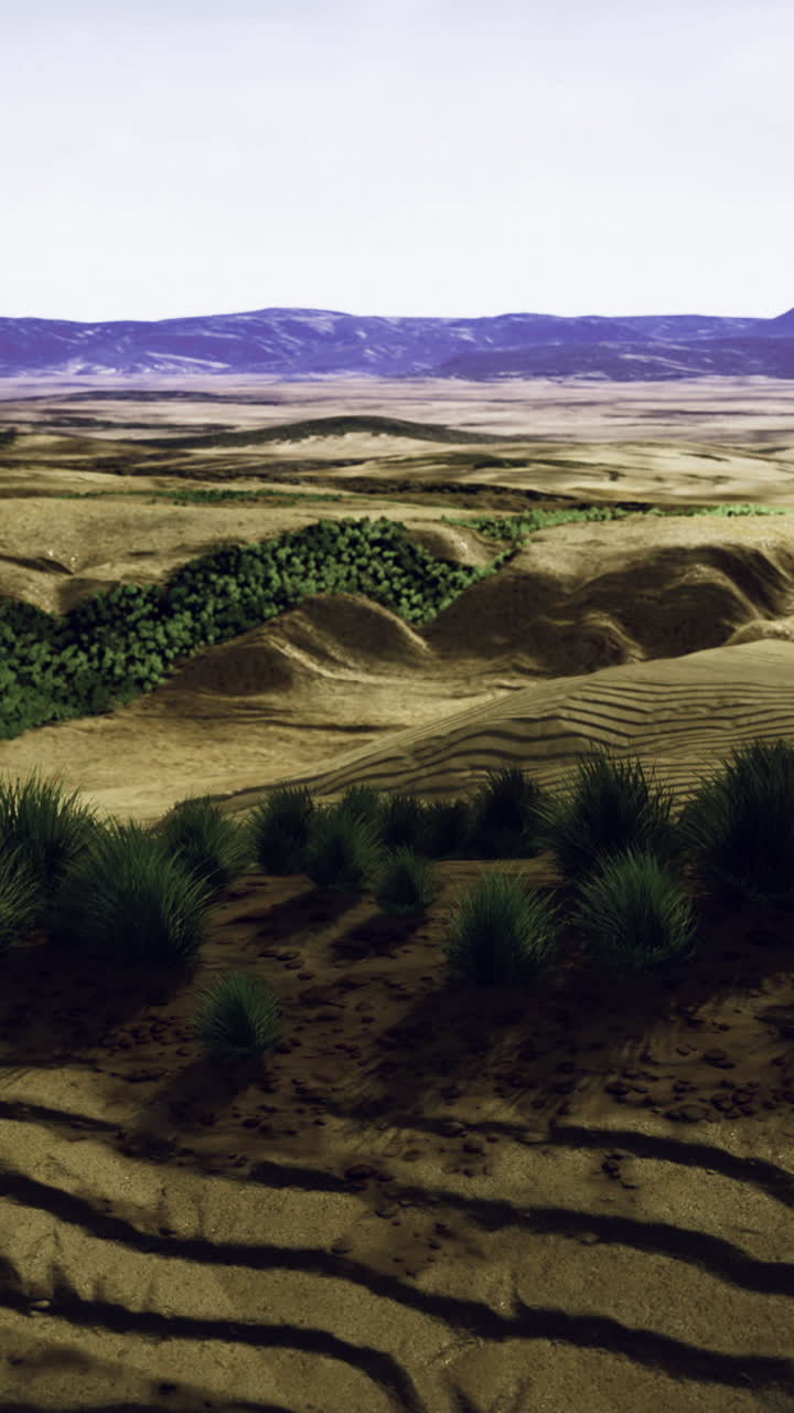 Vast desert landscape showcasing rolling dunes and lush greenery in isolation