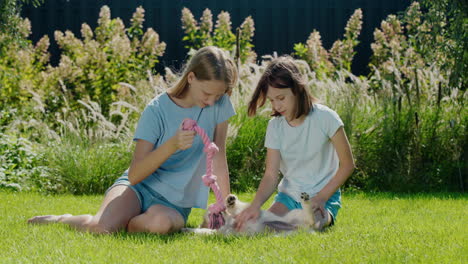 two teenagers are playing with a golden retriever puppy in the backyard of the house. have a good time together