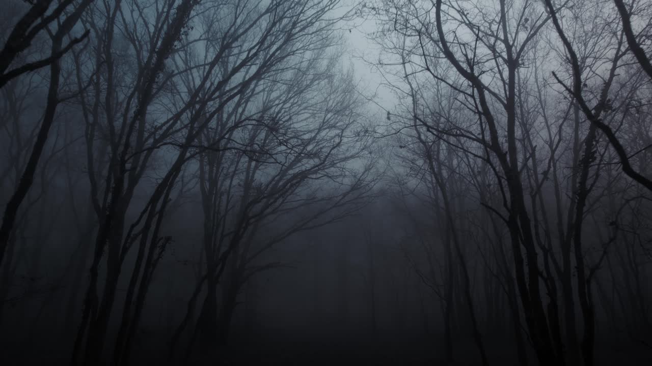 Drone view spooky dark forest winter fog and evening moonlight