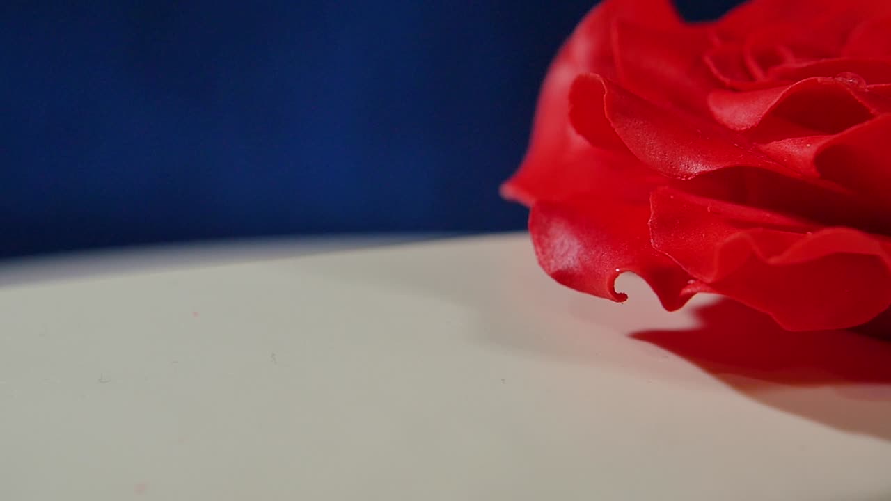 rosa roja en un pastel blanco