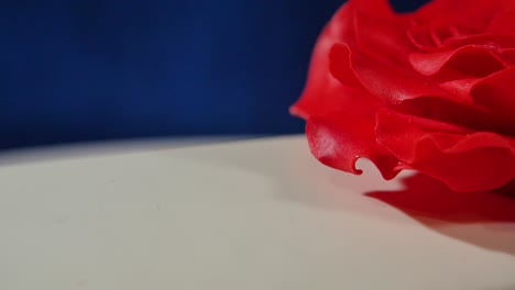 rosa roja en un pastel blanco