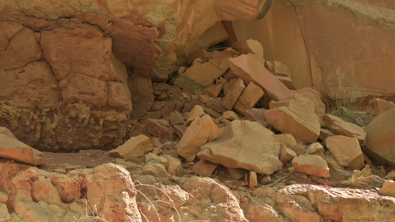 el álamo vuela a través del viento contra las rocas rojas en el parque nacional capitol reef en utah, estados unidos