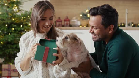 feliz pareja multiétnica abriendo el regalo de navidad para el perro.