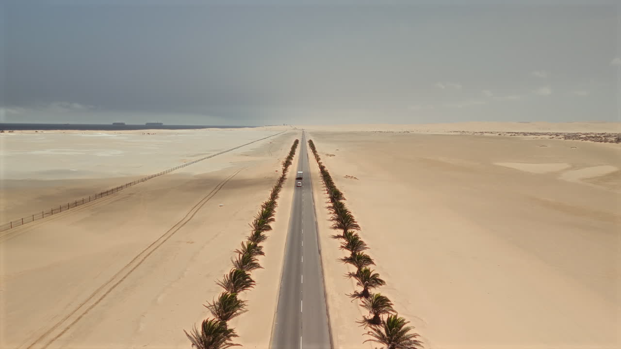 Desert Road with Palm Trees