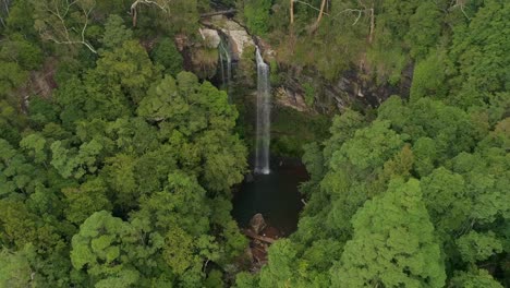 twin falls waterfall in the heart of the rainforest