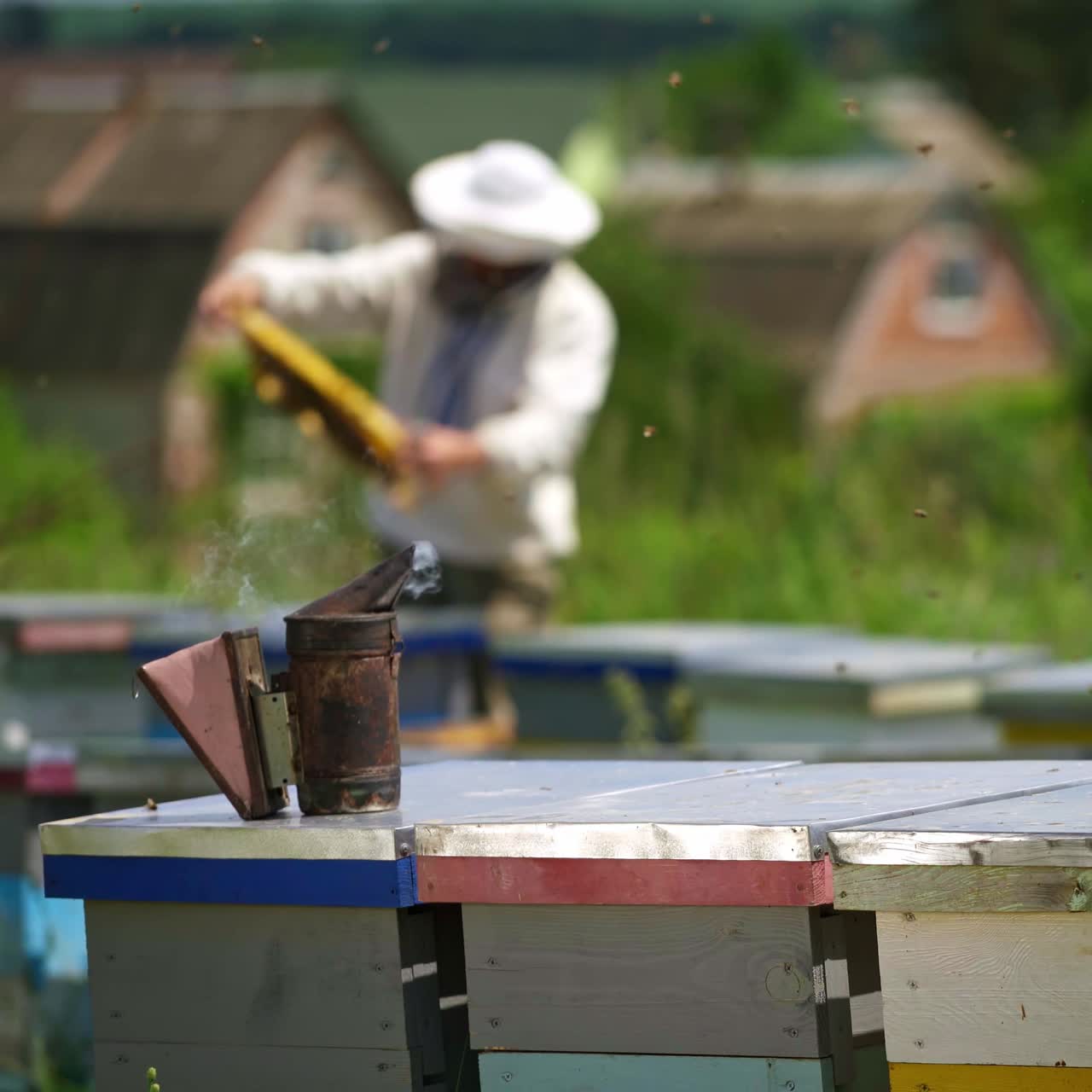 Bees chimney on a hive. Beekeeper working at apiary in summer in rural place. Many beehives standing on grass. Beekeeping process.