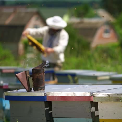 bees chimney on a hive. beekeeper working at apiary in summer in rural place. many beehives standing on grass. beekeeping process.
