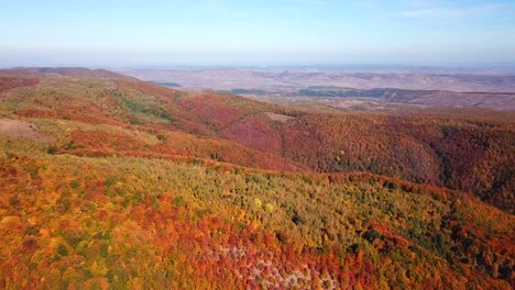 Vista-Aérea-De-Un-Colorido-Bosque-De-Montaña-De-Otoño