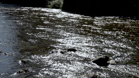 A-serene-slow-motion-shot-of-the-Miyagawa-River-in-Takayama,-Japan,-offers-a-tranquil-glimpse-of-its-natural-beauty,-capturing-the-essence-of-serene-waters