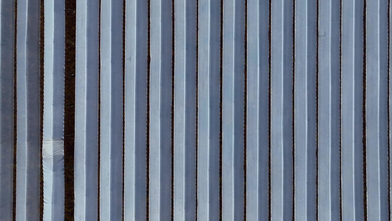 Straight down forward flight over repeating rows of plastic greenhouse tunnels creating a stark abstract pattern of parallel lines and textures from above