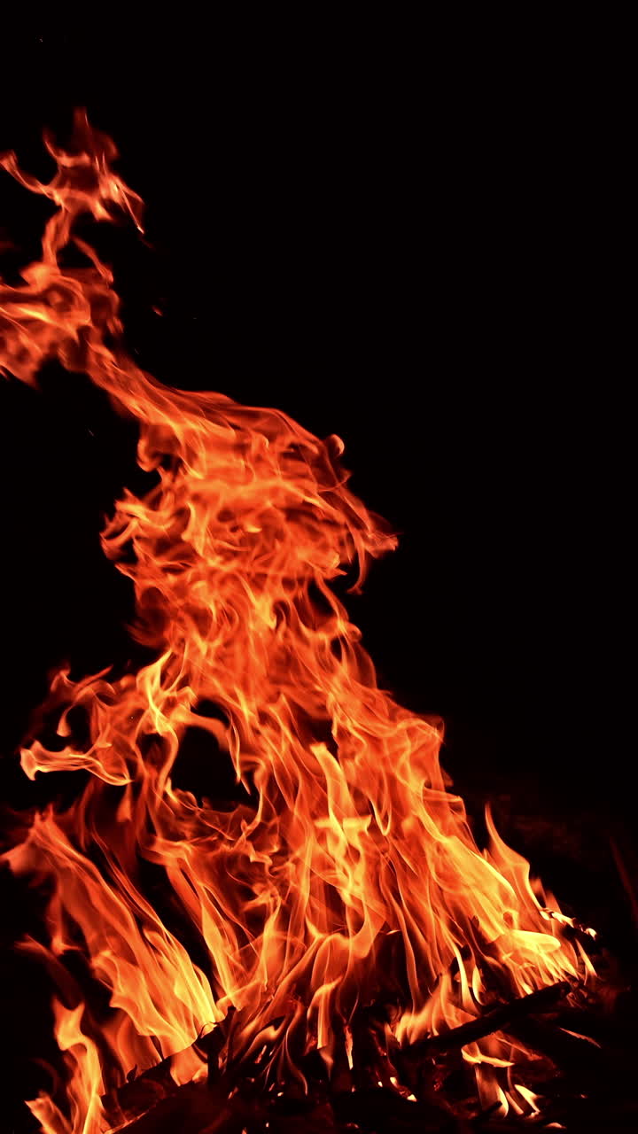 Campfire rising up in the darkness. Beautiful fire flames going up quickly. Vertical video