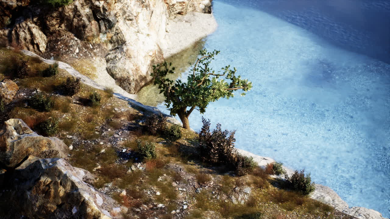 árbol solitario en un acantilado con vistas a un lago