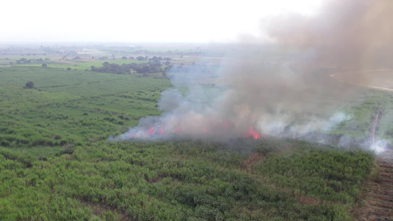 vista aérea de la quema de pastizales de tierras de cultivo para mejorar la salud del suelo y la plantación de nuevos cultivos