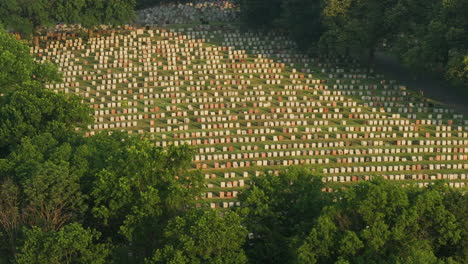 aerial view of a cemetery on a summer morning