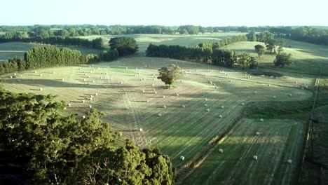 Imágenes-Aéreas-De-Balas-De-Heno-Redondas-Con-Largas-Sombras-De-La-Tarde-En-Un-Campo-Cerca-De-Trentham-Este,-Victoria-Central,-Australia