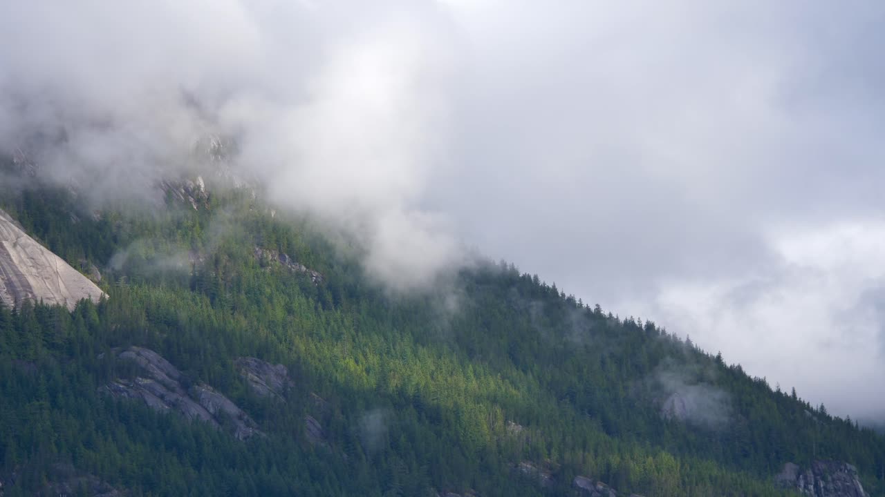niebla sobre el verde bosque en stawamus chief mountain en la columbia británica, canadá