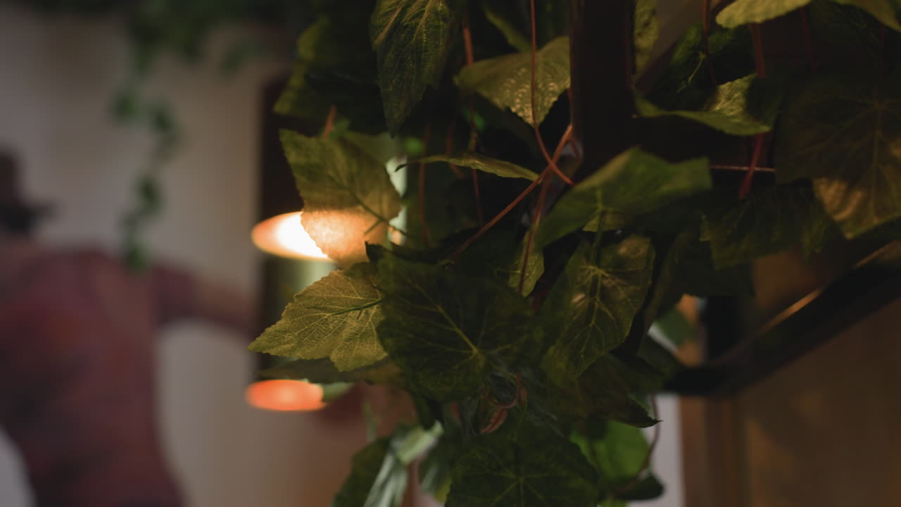close up green plant leaves with intricate veins in focus beside blurred warm hanging pendant lights in cozy indoor space, capturing natural detail and soft ambient lighting atmosphere