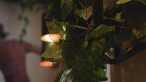 close up green plant leaves with intricate veins in focus beside blurred warm hanging pendant lights in cozy indoor space, capturing natural detail and soft ambient lighting atmosphere