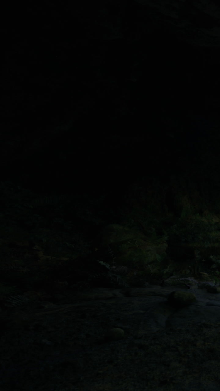 Nighttime scene with trees and rocks near a body of water