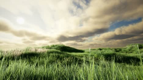 storm clouds above meadow with green grass