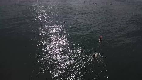 imágenes de drones volando sobre un grupo de surfistas en el agua mientras esperan las olas, costa rica