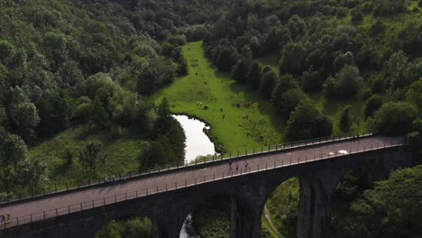 drone shot over the railway viaduct at monsal head toward cattle grazing at a river in uk