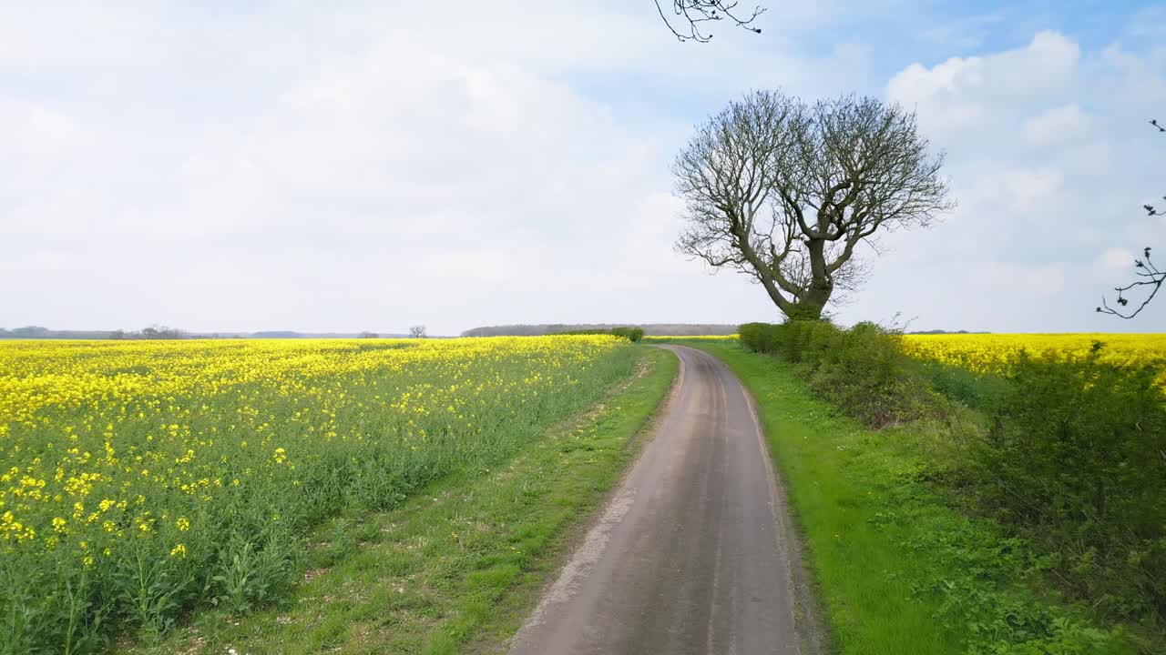 Aerial view: Lincolnshire Wolds adorned with spring's golden rapeseed, farmland, and scenic country trails.