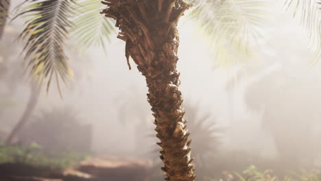 palmera en una jungla