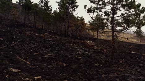 Auswirkungen-Des-Klimawandels-Auf-Hügel,-Nachdem-Ein-Feuer-Land-Zerstörte