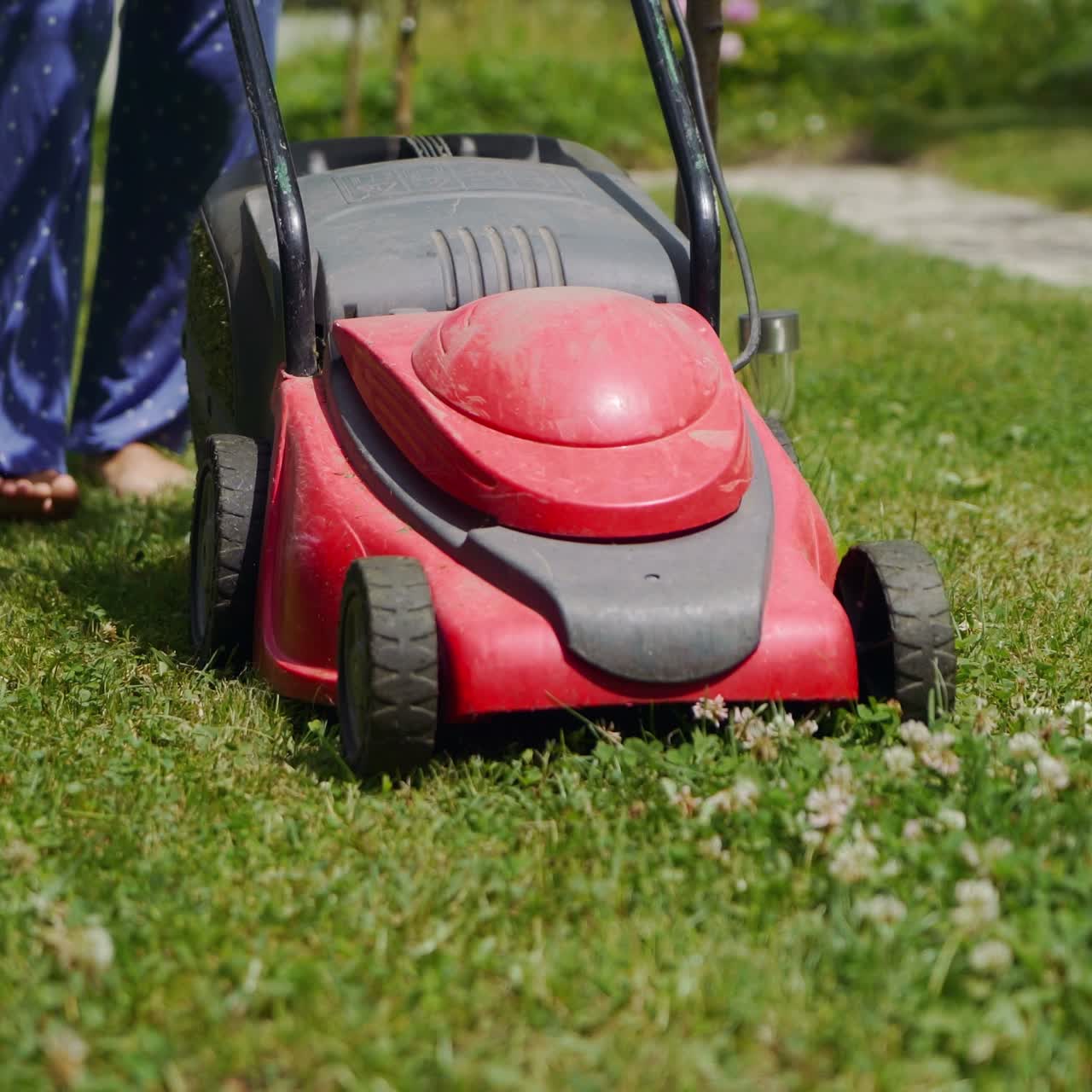 Farmer woman mowing lawn in residential back garden.