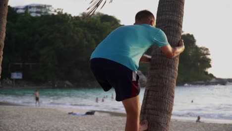 Man-with-a-blue-shirt-and-dark-blue-shorts-and-sunglases-on,-climbing-up-a-palm-tree-barefoot-to-get-some-fresh-coconuts-at-a-beach-in-Phuket,-Thailand