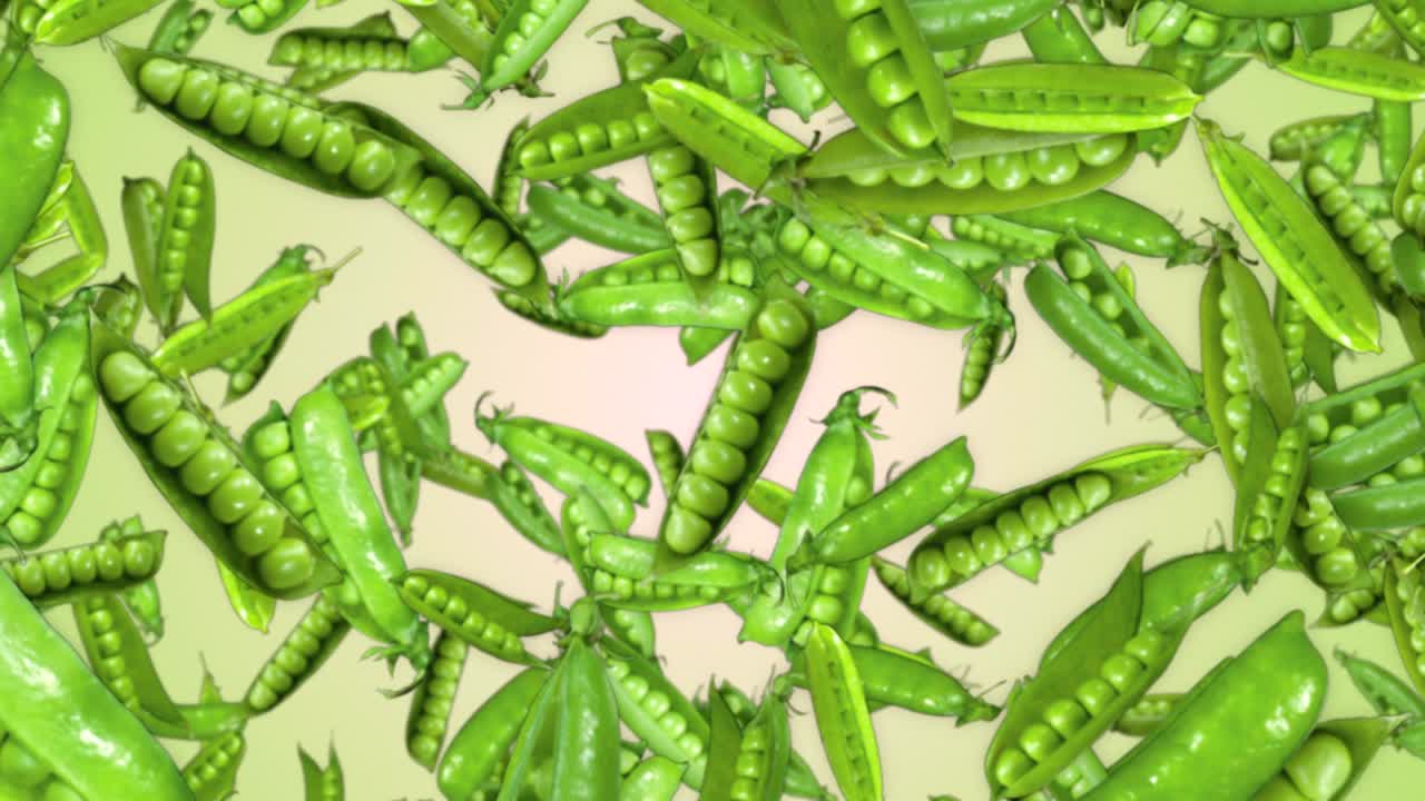 낙하하는 완두콩 배경, 알파 채널, 루프