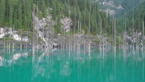 喀薩克斯坦的凱恩迪湖 (kaindy lake),也稱為<unk>樹湖或水下森林