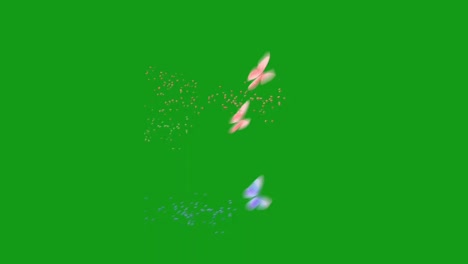 flying butterflies motion graphics with green screen background