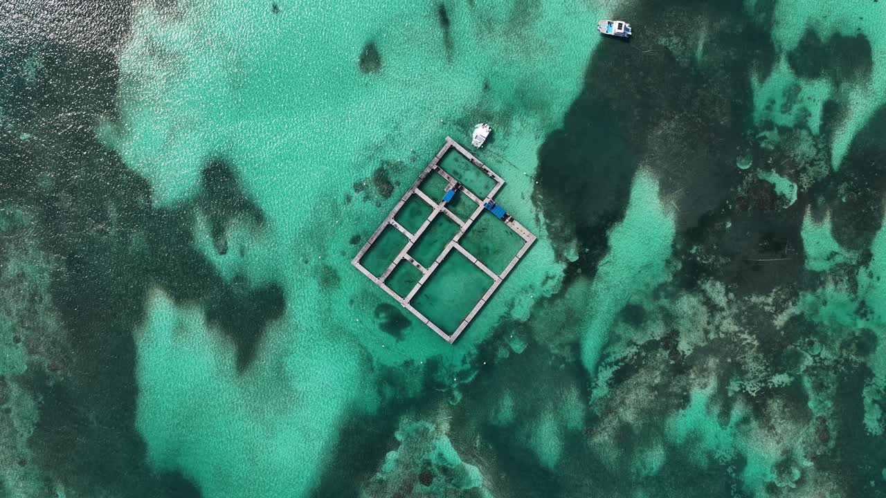 Dolphin Island a Punta Cana, nella provincia di La Altagracia, Repubblica Dominicana. Tour per nuotare con i delfini. Animali marini. Destinazione turistica. Dolphin Island a Punta Cana, Repubblica Dominicana. Natura e fauna selvatica