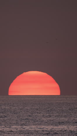 sunset-over-sea-in-vertical